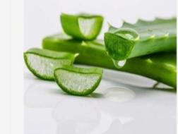 鲜润菁萃芦荟胶使用方法,逸然芦荟胶的正确使用方法