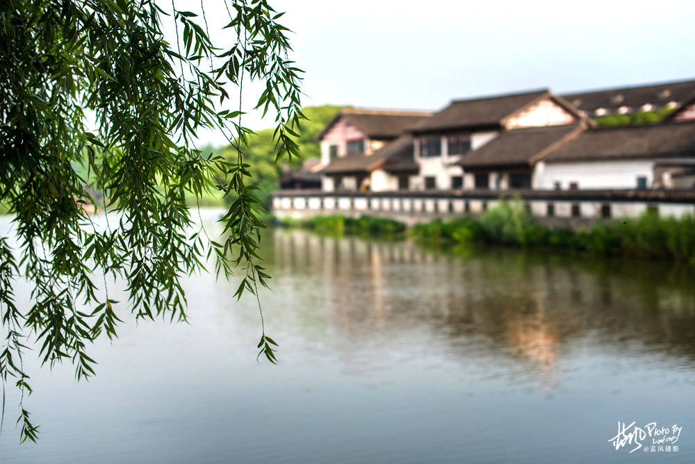 不进沙家浜景区能看到芦苇荡,深度游玩沙家浜风景区