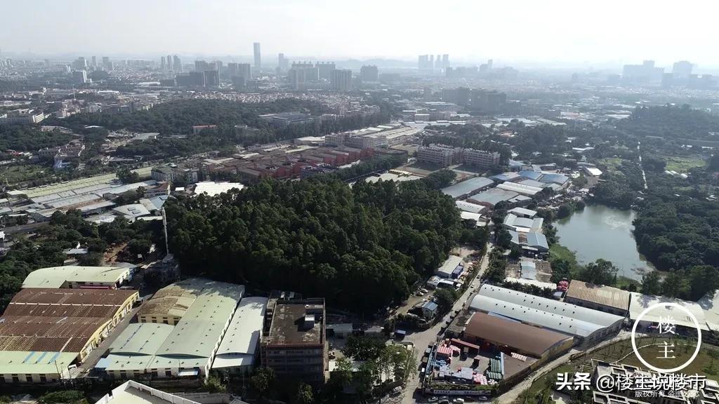 大隐隐于市小隐于野谁说的,小隐于野大隐于市啥意思