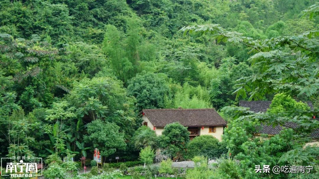 河池，广西吃得最野的地方