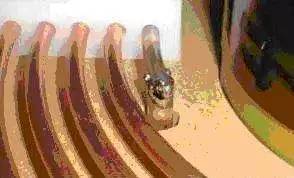 关于特斯拉线圈的视频,特斯拉线圈有什么有趣的