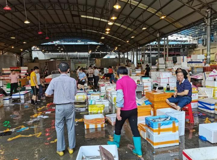 全国哪个地方的菜刀最好,全国最大菜刀生产基地