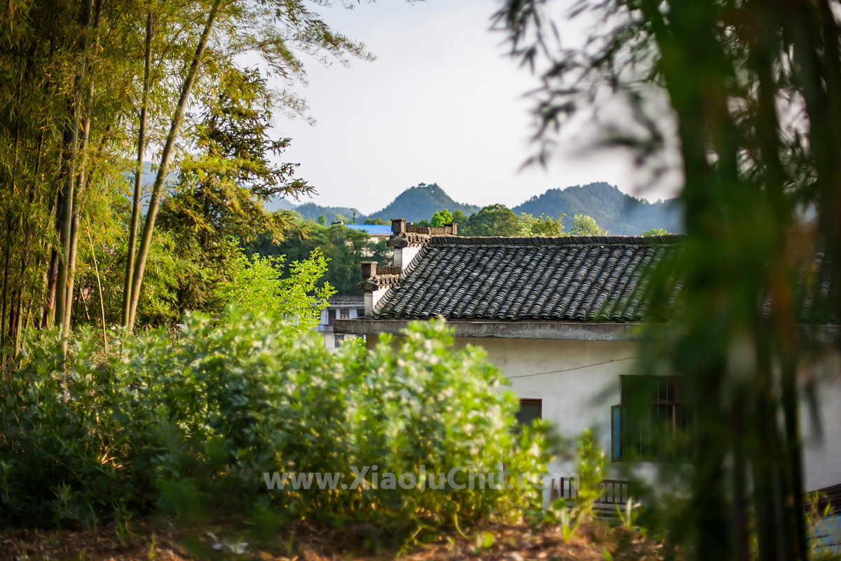 佳能ef501.8镜头三代全新,佳能ef501.4镜头测评