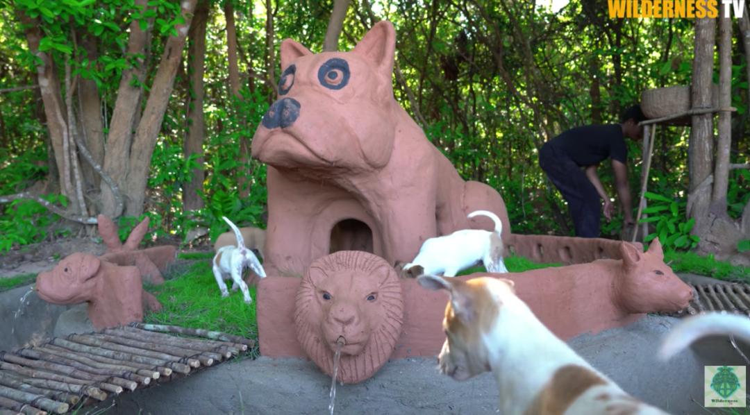 花三年建宠物乐园,花20万给狗打造乐园