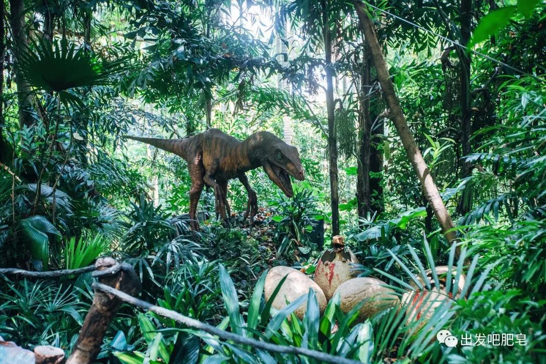 长隆飞鸟乐园长隆熊猫酒店怎么选,周一长隆野生动物园游玩攻略
