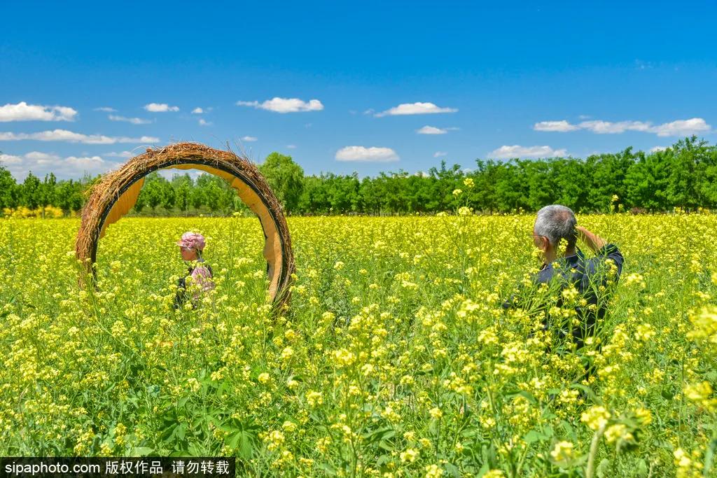 北京市的一处网红公园,不收门票的网红公园