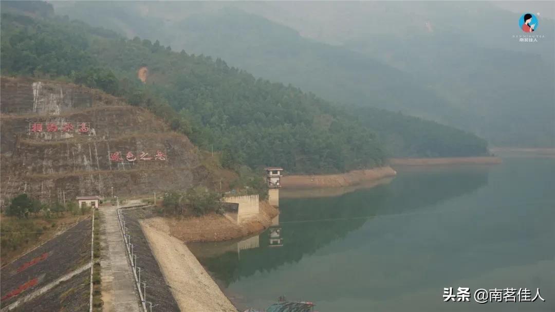 冰岛老寨大秋茶园的茶是真的吗,冰岛五寨之一糯伍什么口感