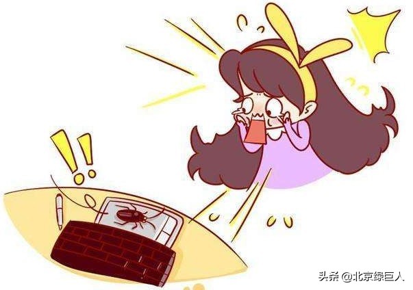 办公室有蟑螂怎么办能除掉,办公室蟑螂怎么来的