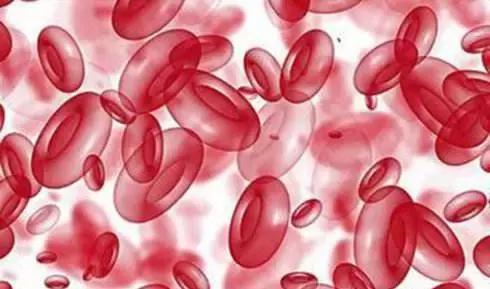 快死的鱼变活鱼，竟然只要往鱼嘴里加点这个就可以实现了