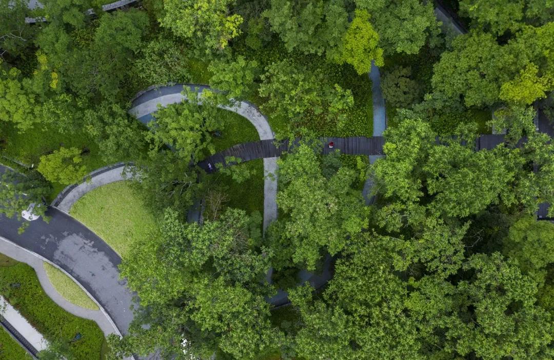 2019鸟瞰图,推荐鸟瞰图