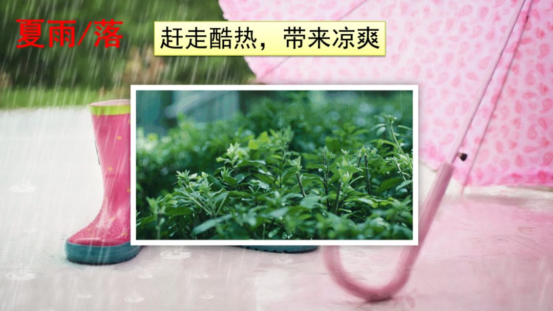 部编版一年级语文上识字表,识字一春夏秋冬课文