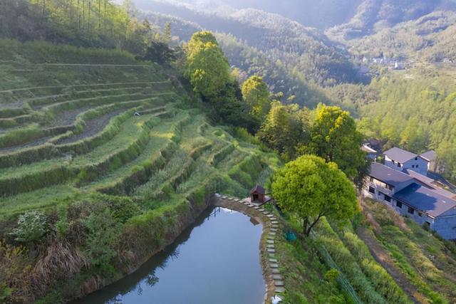 宜春旅游攻略住宿,宜春住十天左右民宿好还是酒店好