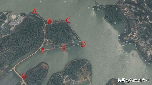 钓黄尾老是锚到黄尾是什么原因,钓黄尾鲴怎么避开小杂鱼