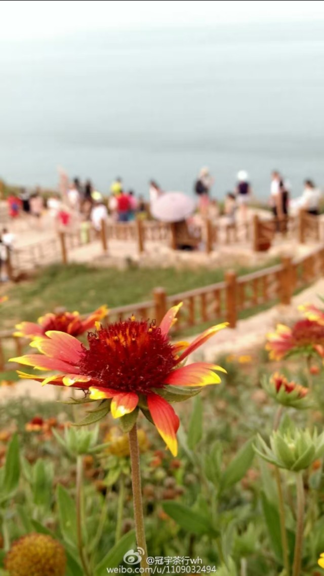 长岛美景的回忆,长岛记忆