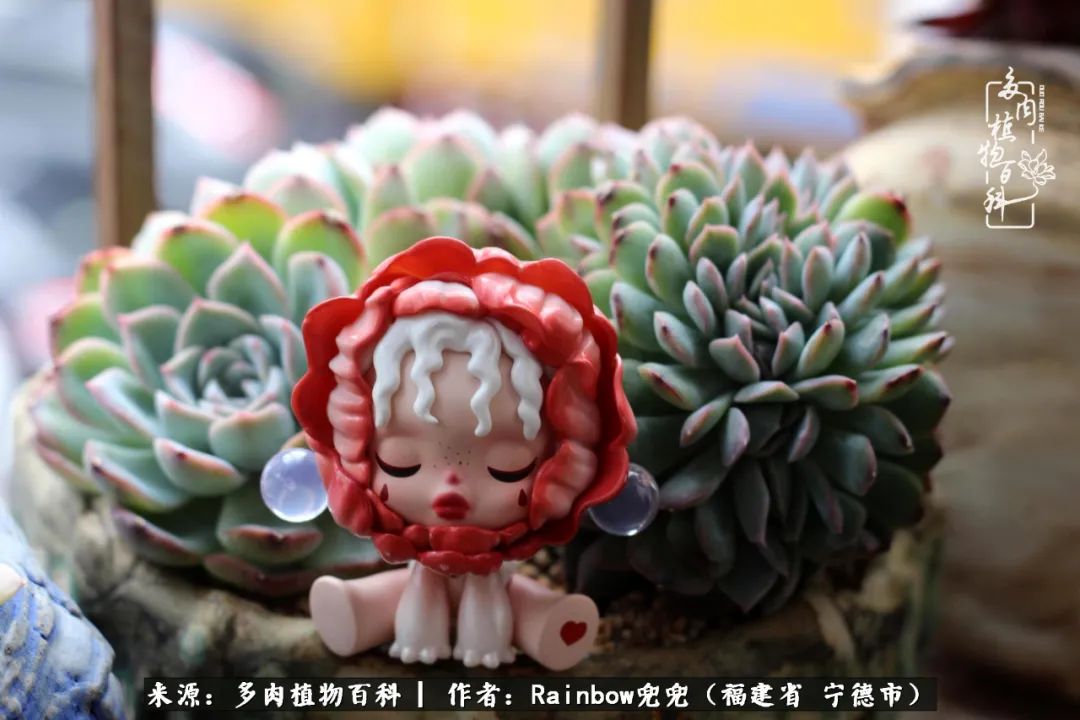 岁月无波澜余生不悲欢是啥意思,愿你岁月无波澜敬我余生无悲欢