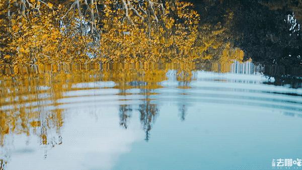 立秋，立秋！这43件事，上海人必须要去做