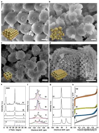 鏋勫缓鏅朵綋缁撴瀯杞欢,鏋勫缓鏅朵綋缁撴瀯