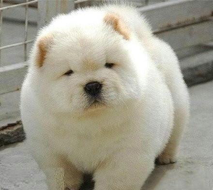 开塞露真的起到护肤效果吗,开塞露加牙膏护肤正确使用方法