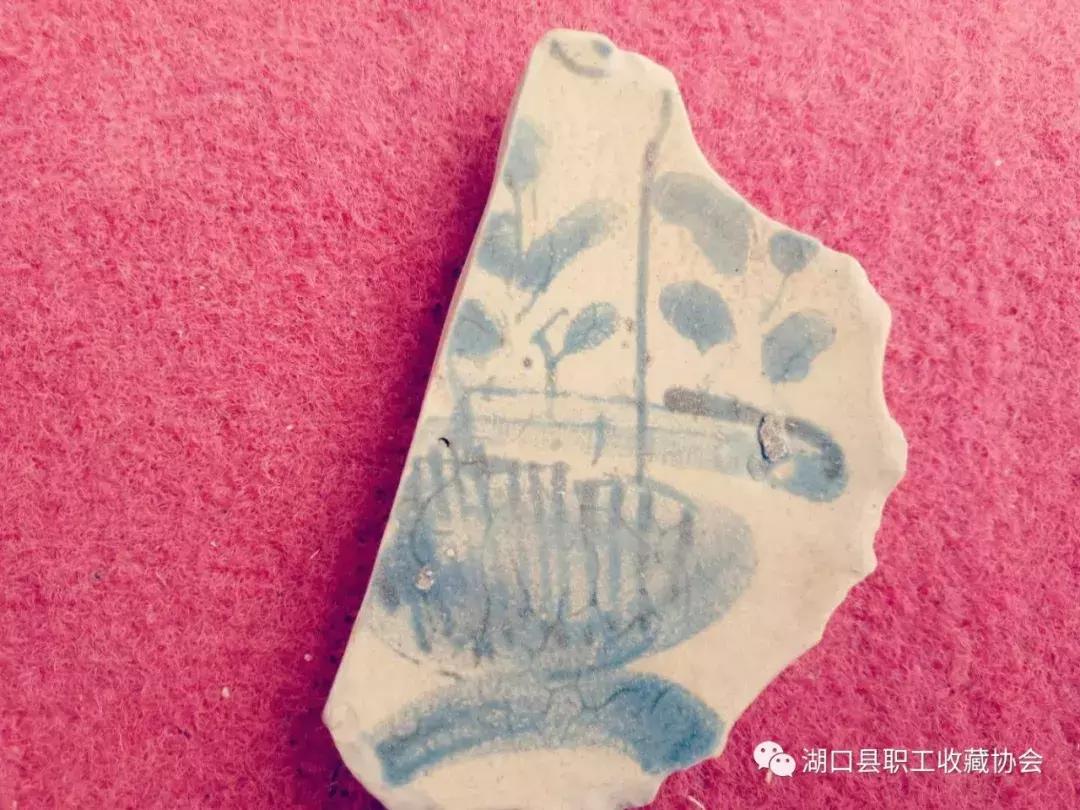 湖口一男子竟然收藏了这么多宝贝，让人大开眼界！