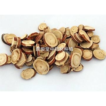 当年能收获的中药材有哪些,当年就能收的药材