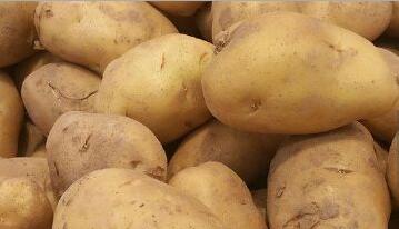 宁夏十大特产农产品,宁夏十大特产面