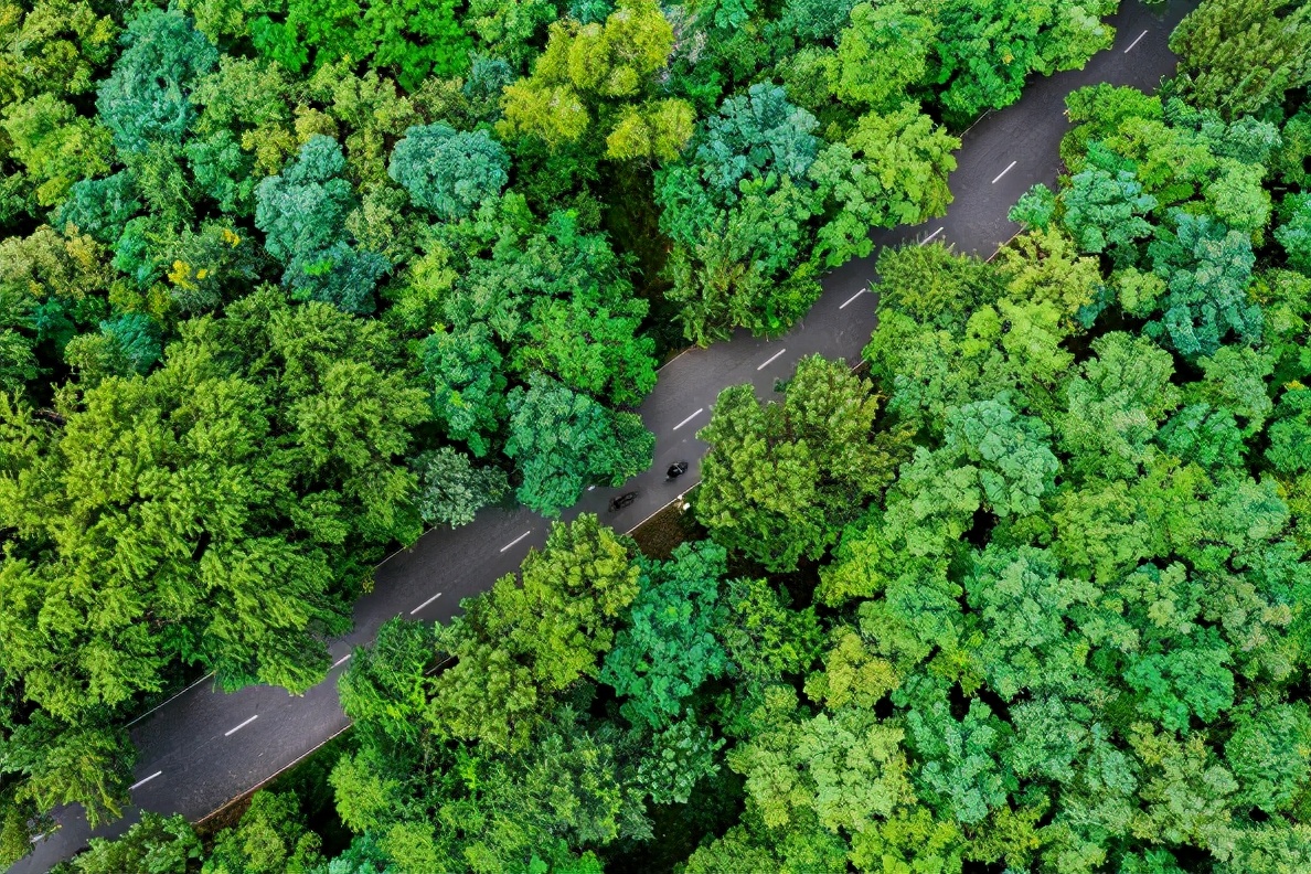沈阳每个区都有哪些玩的,沈阳玩的地方都在哪个区