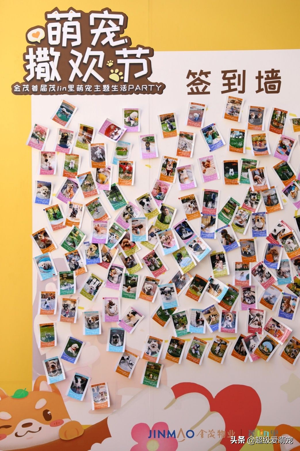 金茂广场萌宠生活节,金茂物业活动