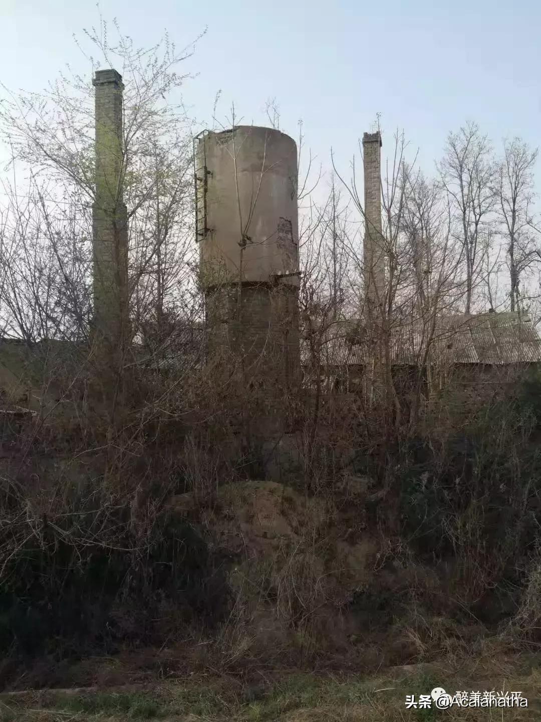 兴平40年前酒厂生产的酒，曾比西凤酒还受欢迎，你知道吗？