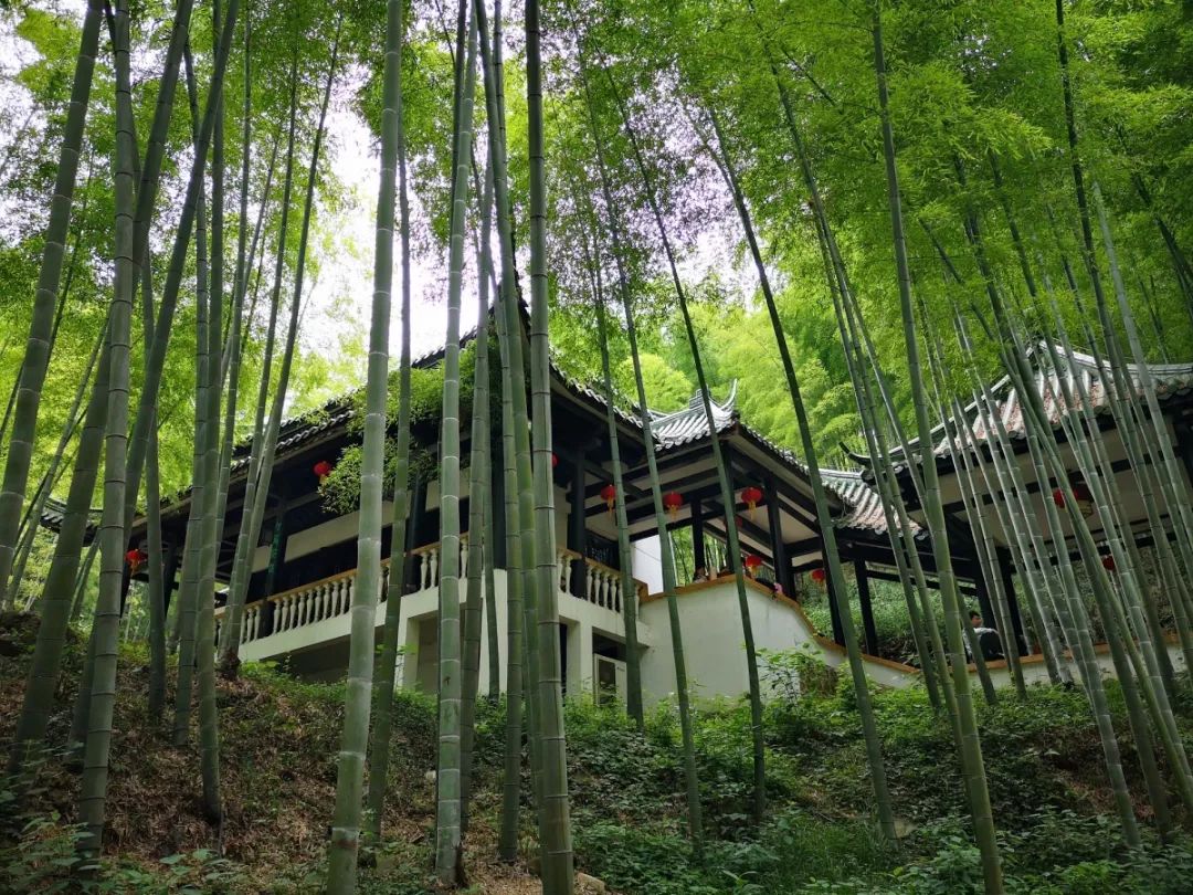 有景有画的诗,有景有情的诗写秋天的