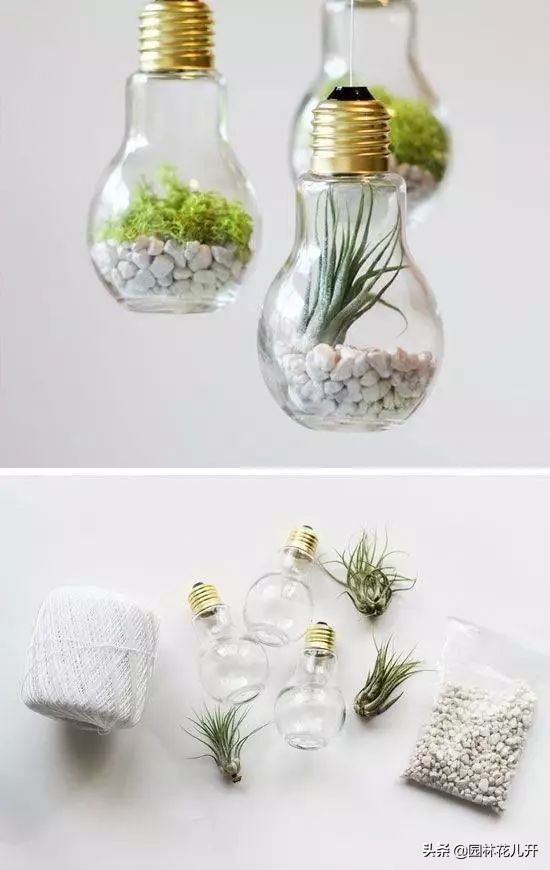 创意花盆简单制作方法,居家花盆