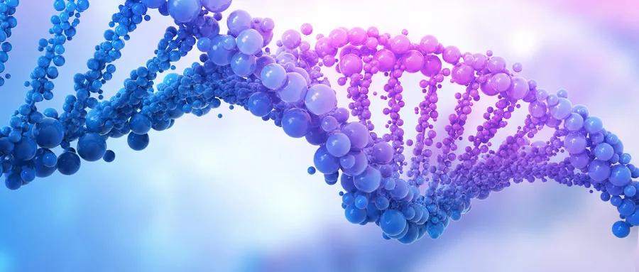 胃肠间质瘤属于癌症吗,平滑肌瘤和胃肠间质瘤的区别