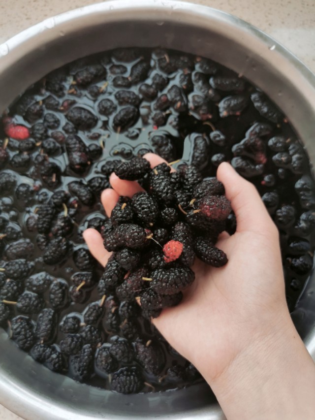 桑葚膏如何做才能保存长时间,桑葚怎么吃才有美容养颜的功效