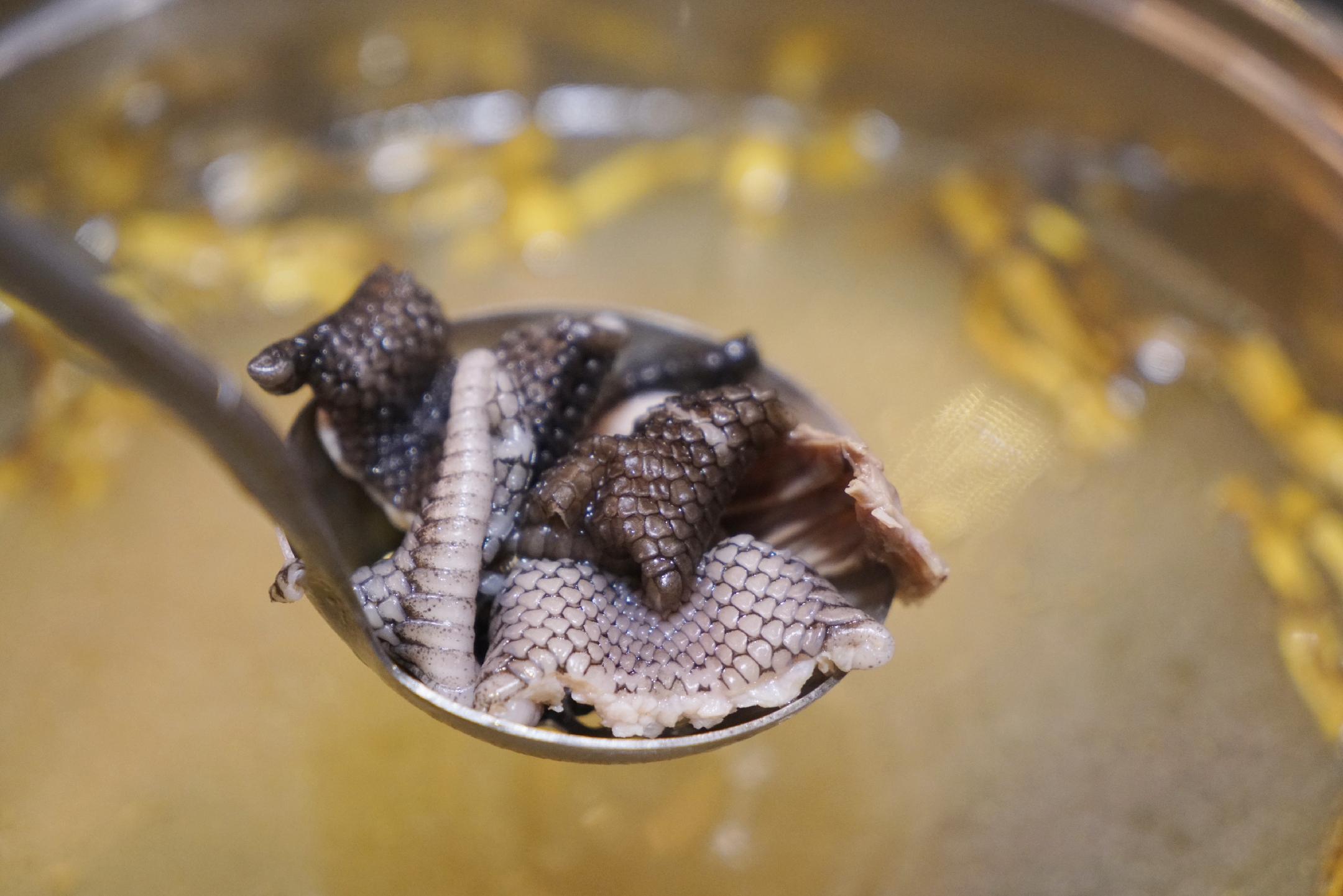 蛇肉有些蛇能吃还是有些蛇不能吃,蛇肉冬虫夏草