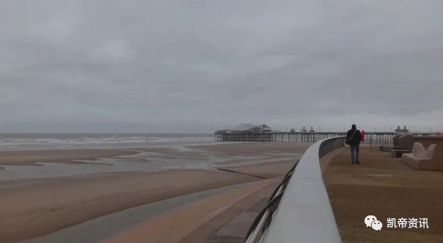 「第一名居然是....」日本２０多岁的单身狗是怎么过圣诞节的