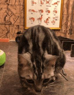 厦门出发旅游美食推荐,厦门旅行与美食攻略