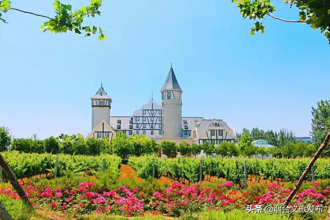 张裕卡斯特酒庄窖藏5年,张裕卡斯特酒庄品酒