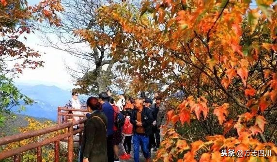 四川改革开放的重大改变,1988年四川改革开放大事记