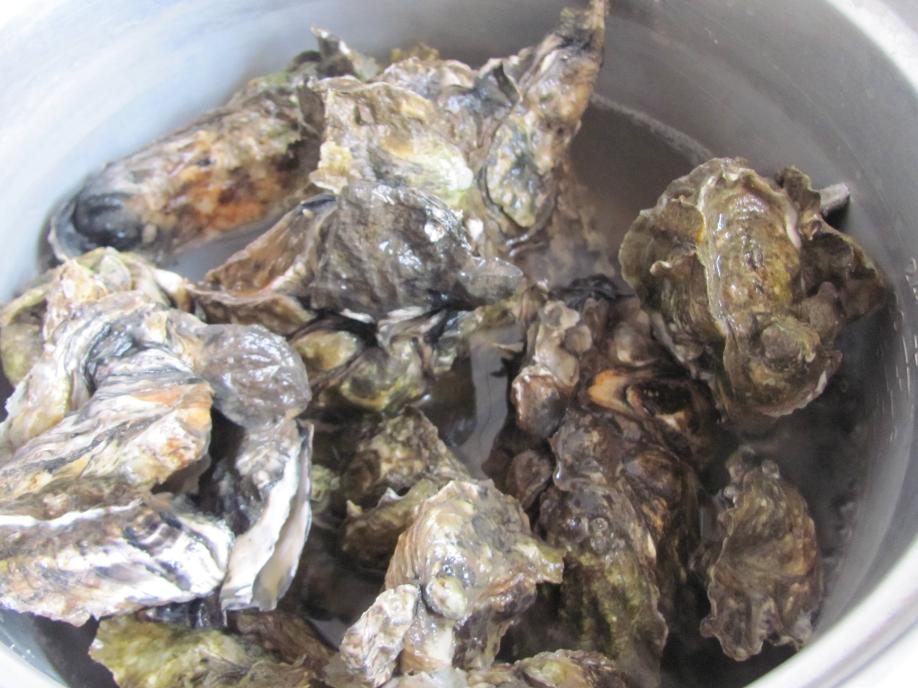 水煮生蚝开水下锅还是凉水下锅煮,开生蚝的家常做法水煮几分钟