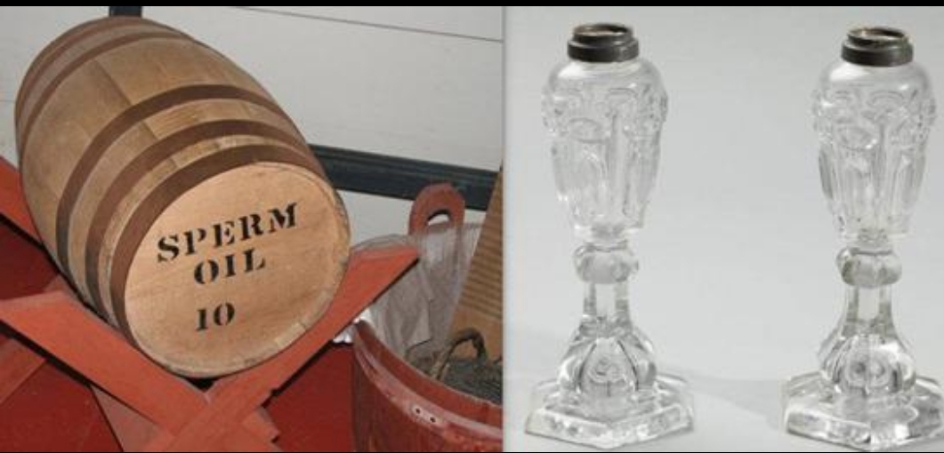 带你一起看智能社会这本书,未来5年的智能社会