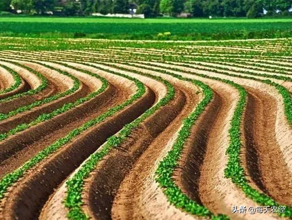 面临重茬，我们怎么办？（实用好文）