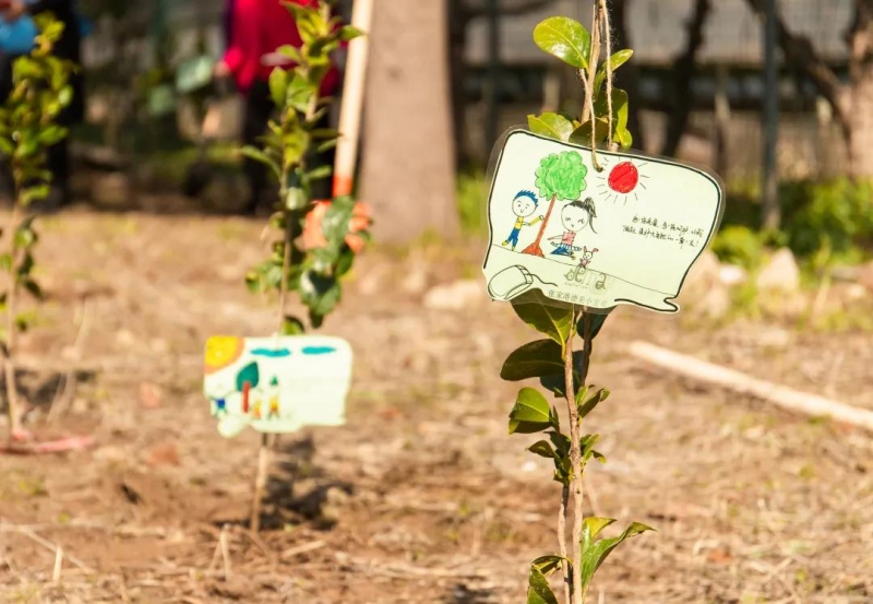 久居城市就会向往乡村的田园生活,向往的田园生活的感悟
