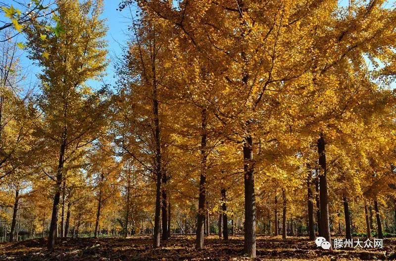 为什么要留在城市,为什么要留在家乡