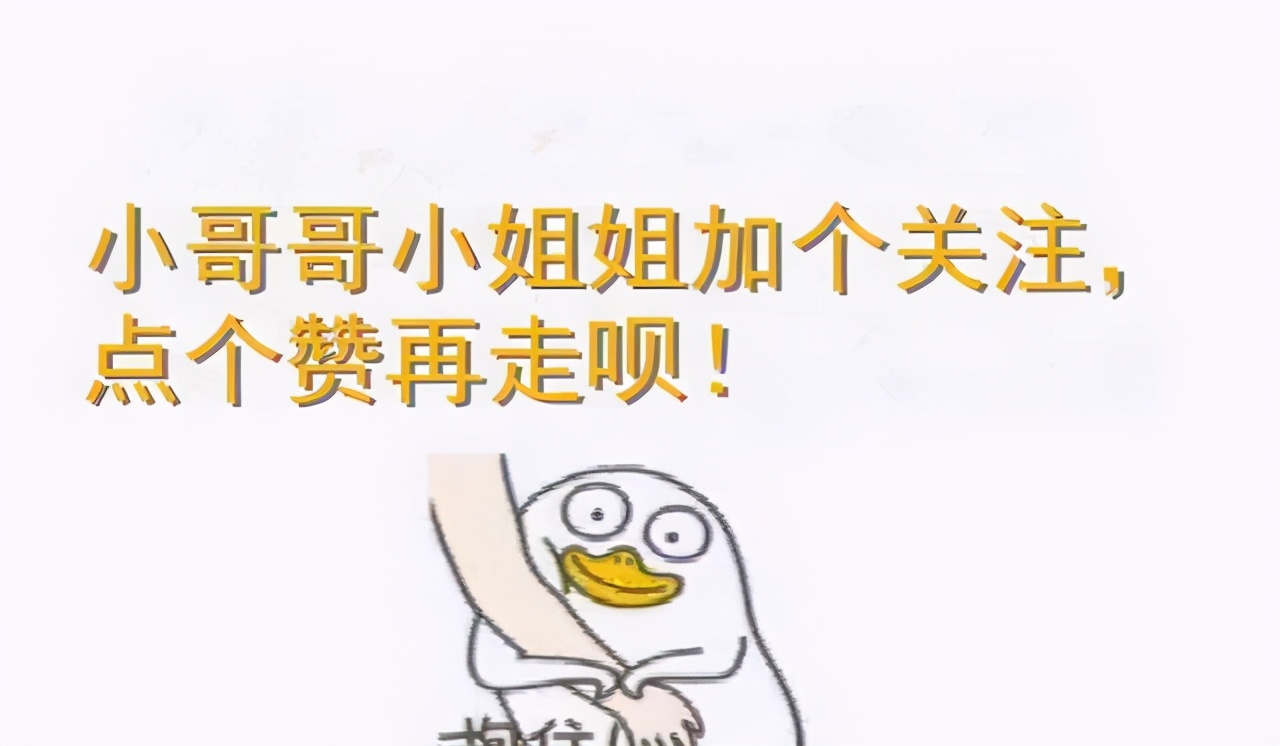 7款私藏高性价比猫粮｜建议收藏