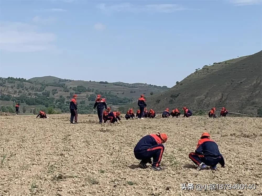2021年李锋教育「成长不烦恼」第十二天夏令营之传递爱心扶贫助学