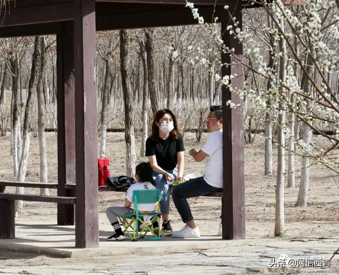 天津新开放的公园,天津水西公园现在恢复开放了吗