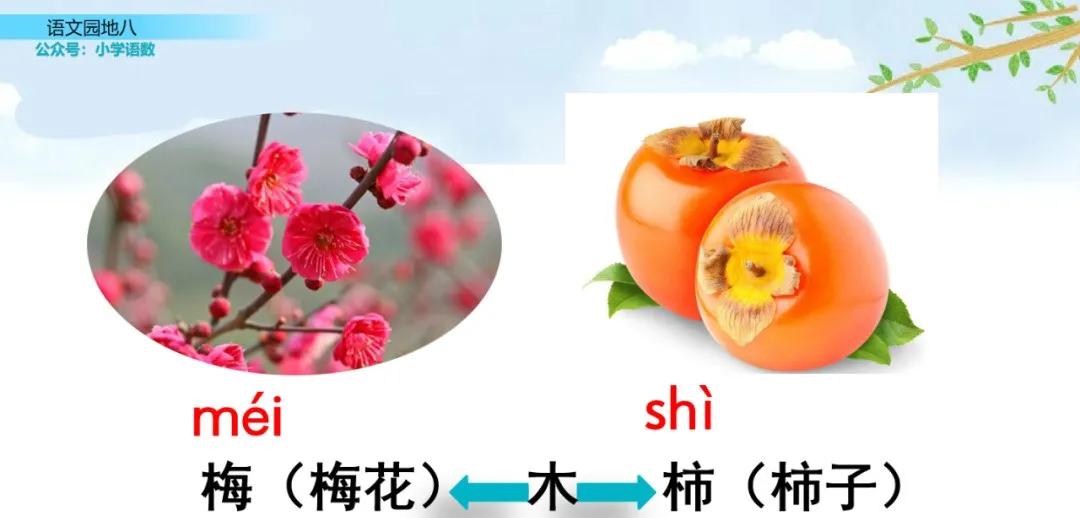 二年级上册语文园地八讲解视频,二年级语文园地八给动物分类答案