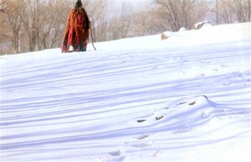 赵姨娘施法被揭穿了吗,赵姨娘用巫术被发现了吗