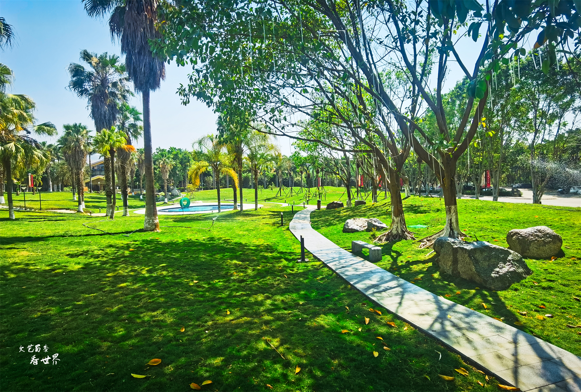 北海和攀枝花哪个适合过冬,去攀枝花过冬