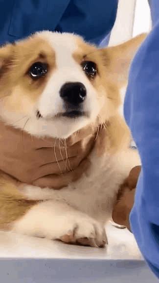 2021人间值得,2019人间值得