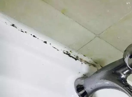 霉菌一级致癌物图片,发霉的霉菌是怎么产生的